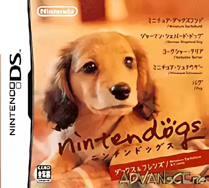 Image n° 1 - box : Nintendogs - Miniature Dachshund & Friends